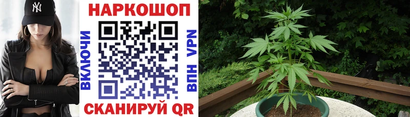 Виды наркотиков купить Топки Псилоцибиновые грибы  Меф мяу мяу  Конопля  АМФ 
