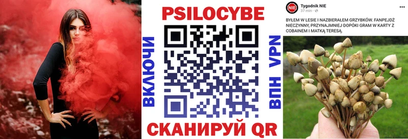 как найти закладки  Топки  Галлюциногенные грибы MAGIC MUSHROOMS 