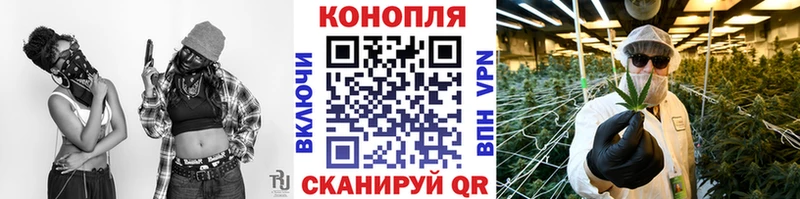 Канабис планчик  Топки 